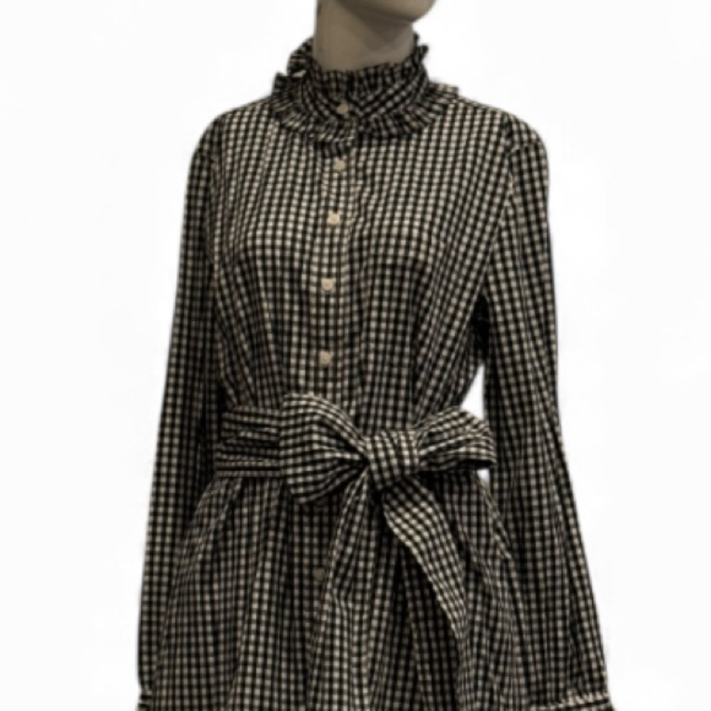 J. Crew Blue Black and White Gingham Ruffle Collar Shirtdress approx size 8 - Picture 6 of 14